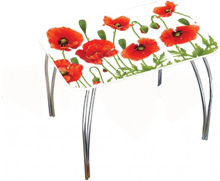 Обеденный стол прямоугольный с фотопечатью