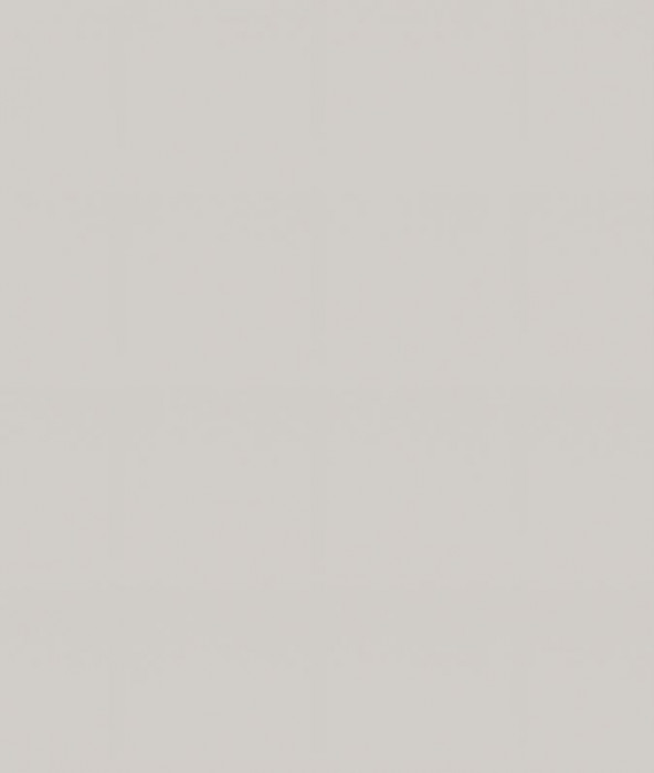 Ф-218 Альфа (ШВГ 920*400) МДФ холст белый