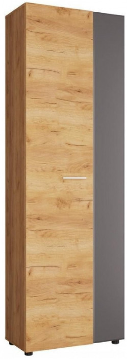 Сафари Шкаф ШК-001 (Дуб крафт золотой)