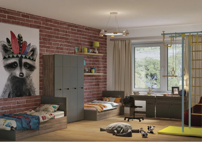 Шкаф Наоми ШК-25, графит