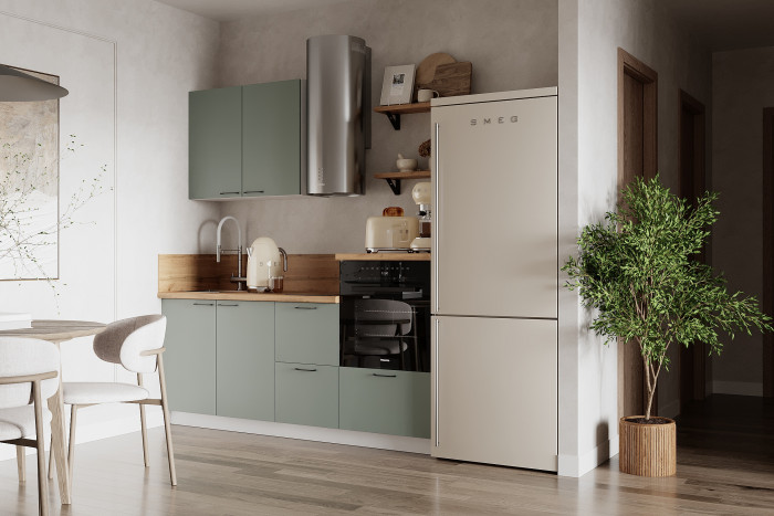 КГ 1950 Эмаль, Олива  Арника РМ в.5