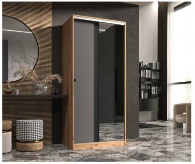 Шкаф-купе Альянс 1000 (Дуб крафт/ Графит)