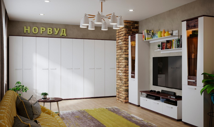 Шкаф для одежды Норвуд 12