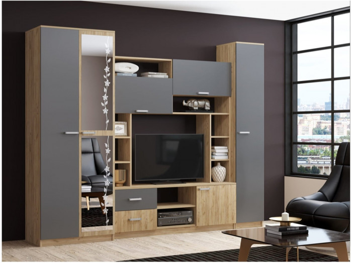 Гостиная Флора-4 ЛДСП (Ясень шимо темный / светлый)